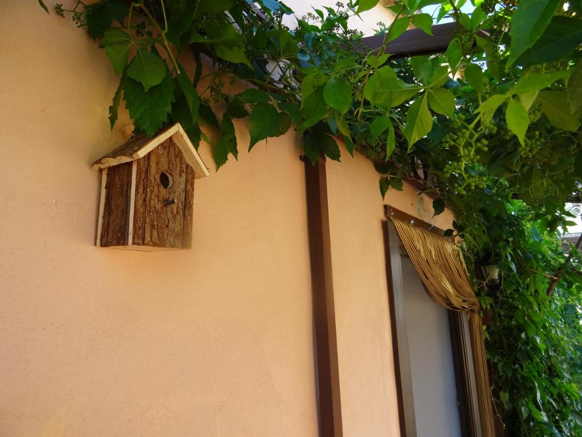 La Muntanya - Apartamentos Rural Guadalest Benimantell Eksteriør bilde